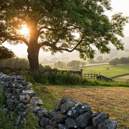 Hotell The Dragon At